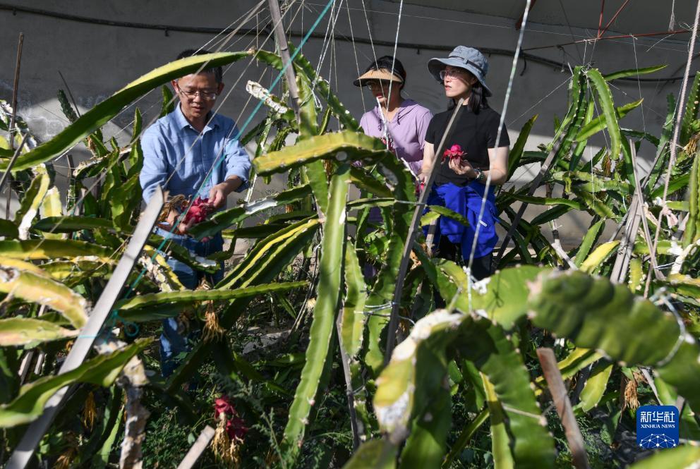 银河开户通官网
